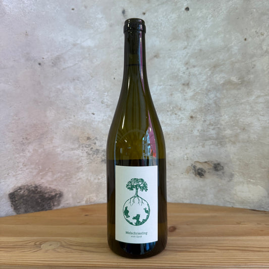 Weingut Werlitsch, Welschriesling, 2023