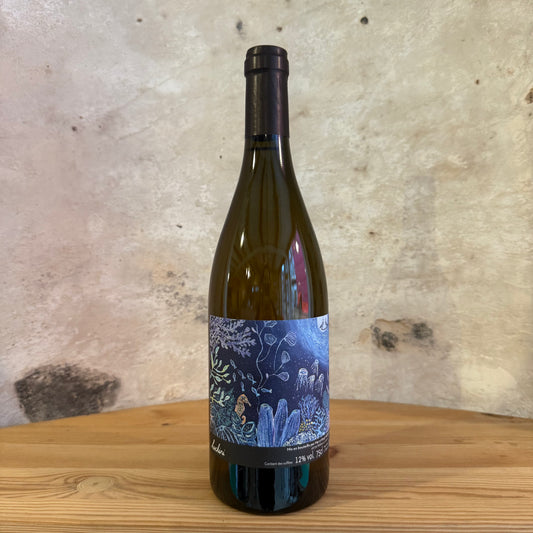 Luchini Blanc, Mai & Kenji Hodgson